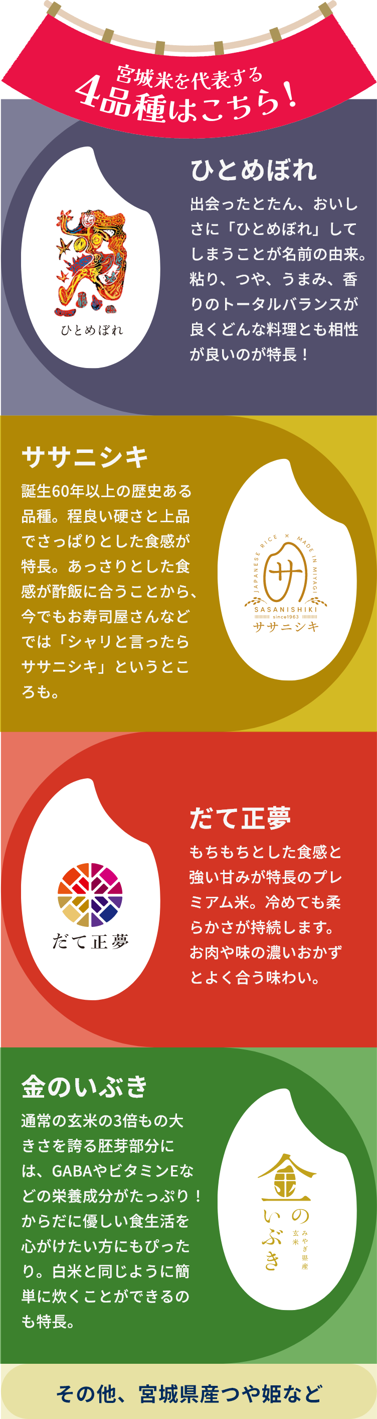 宮城米を代表する4品種はこちら! ひとめぼれ・ササニシキ・だて正夢・金のいぶき・その他、宮城県産つや姫など