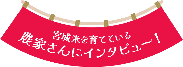 宮城米を育てている農家さんにインタビュー!